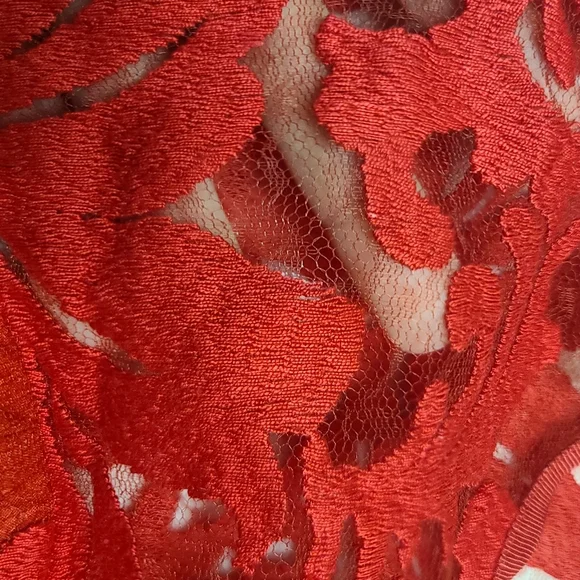 Ted Braker Elegant Red Lace Dress, size 2 - Picture 4 of 16